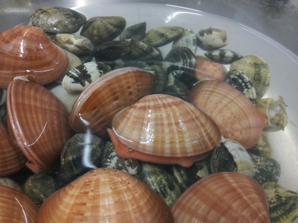 مبيت وإفطار برايا إيه ماري Porto Di Mare المظهر الخارجي الصورة
